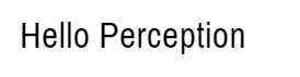 Hello Perception